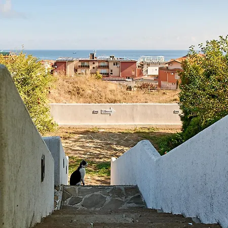 Dima Sozopol
